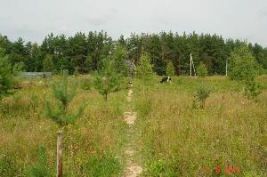 Продаю землю сельхозназначения в Калужской области prodaz2.jpg